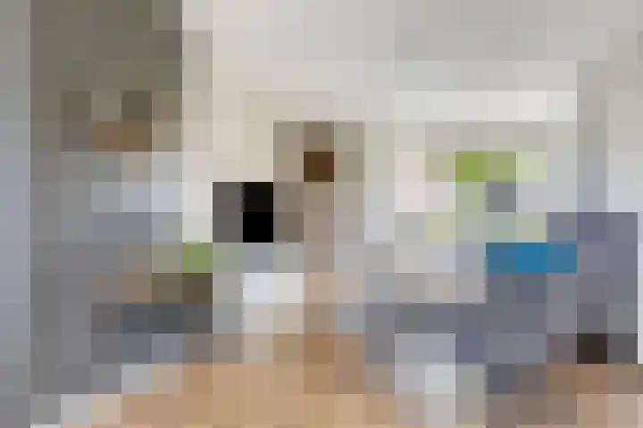 Hoofdweg 133 Blijham thumbnail 10