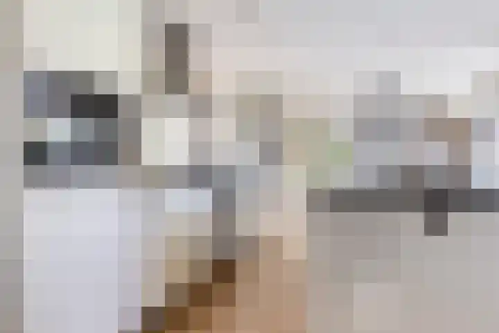 Hoofdweg 133 Blijham thumbnail 20