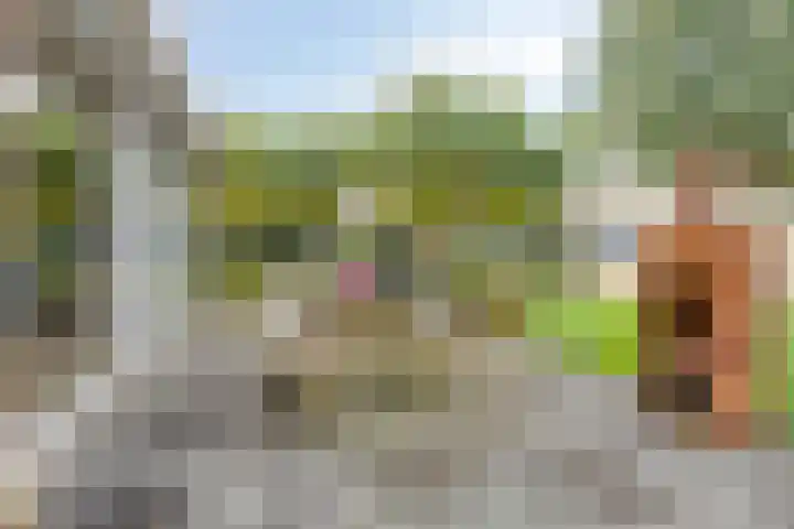 Hoofdweg 133 Blijham thumbnail 41