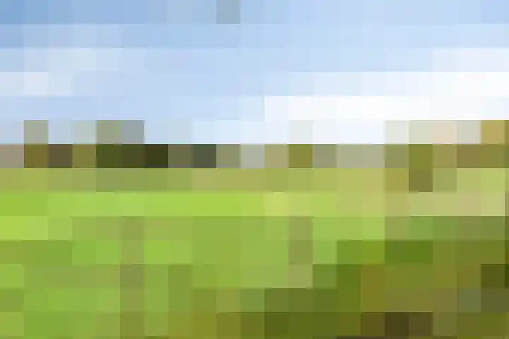 Hoofdweg 133 Blijham thumbnail 45