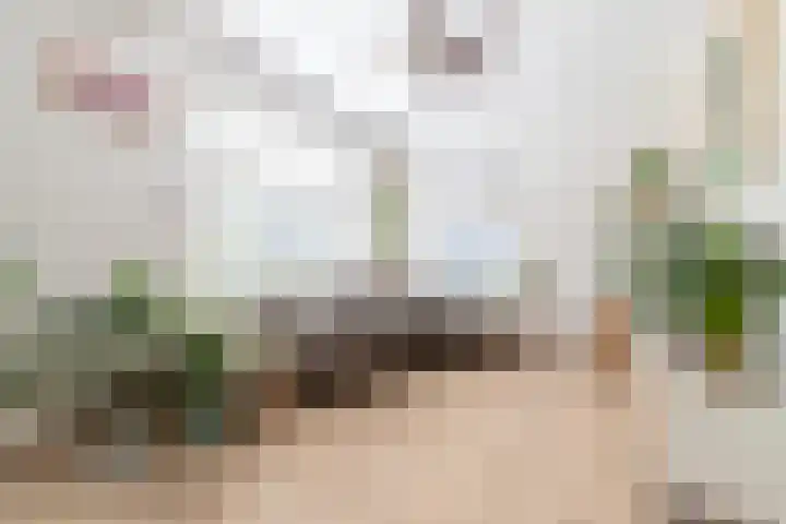 Hoofdweg 133 Midwolda thumbnail 20
