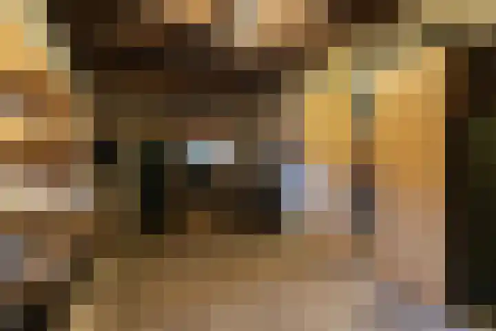 Hoofdweg 133 Midwolda thumbnail 40