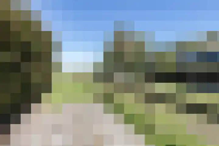 Hoofdweg 133 Midwolda thumbnail 54