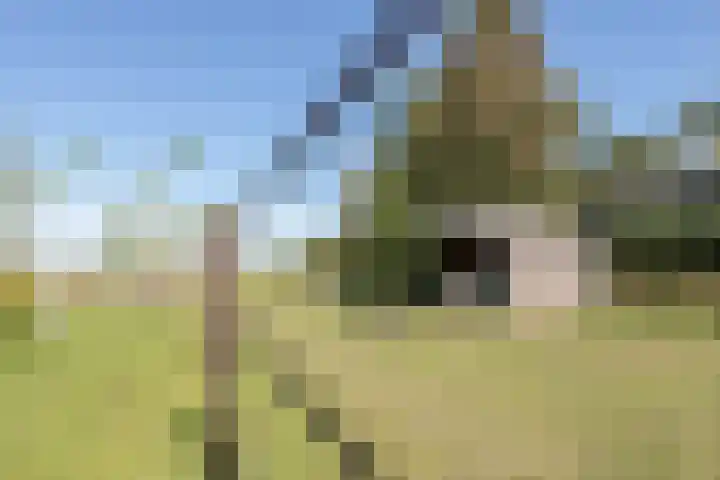 Hoofdweg 133 Midwolda thumbnail 55