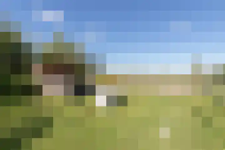 Hoofdweg 133 Midwolda thumbnail 56