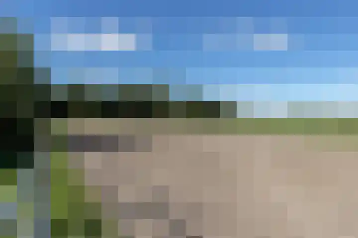 Hoofdweg 133 Midwolda thumbnail 57