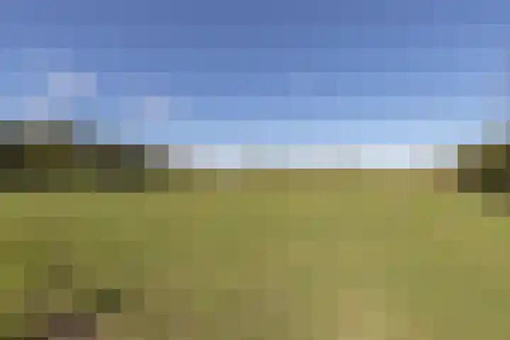 Hoofdweg 133 Midwolda thumbnail 60
