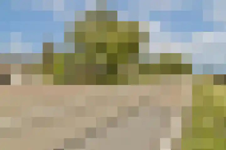 Hoofdweg 134 Kudelstaart thumbnail 31