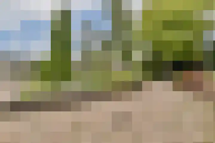 Hoofdweg 134 Kudelstaart thumbnail 33