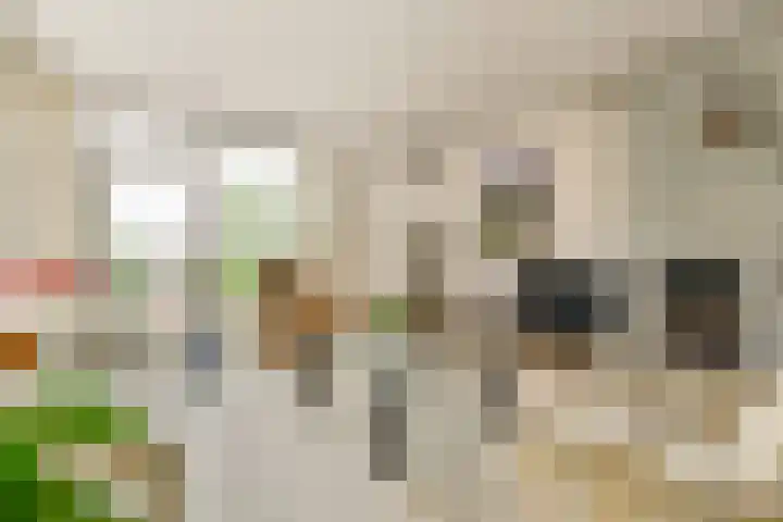 Hoofdweg 134 Kudelstaart thumbnail 6