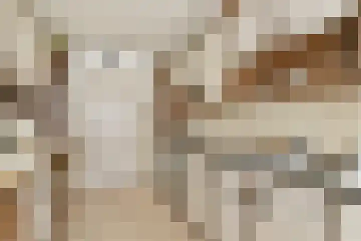 Hoofdweg 134 Kudelstaart thumbnail 9