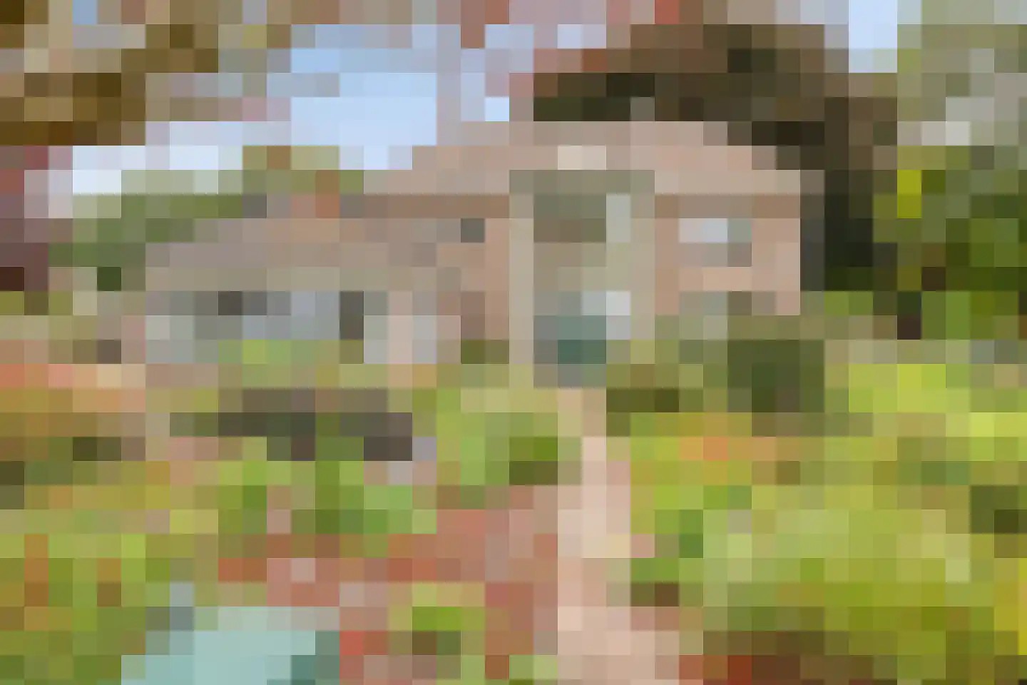 Hoofdweg 134 Westerhaar-Vriezenveensewijk thumbnail 4