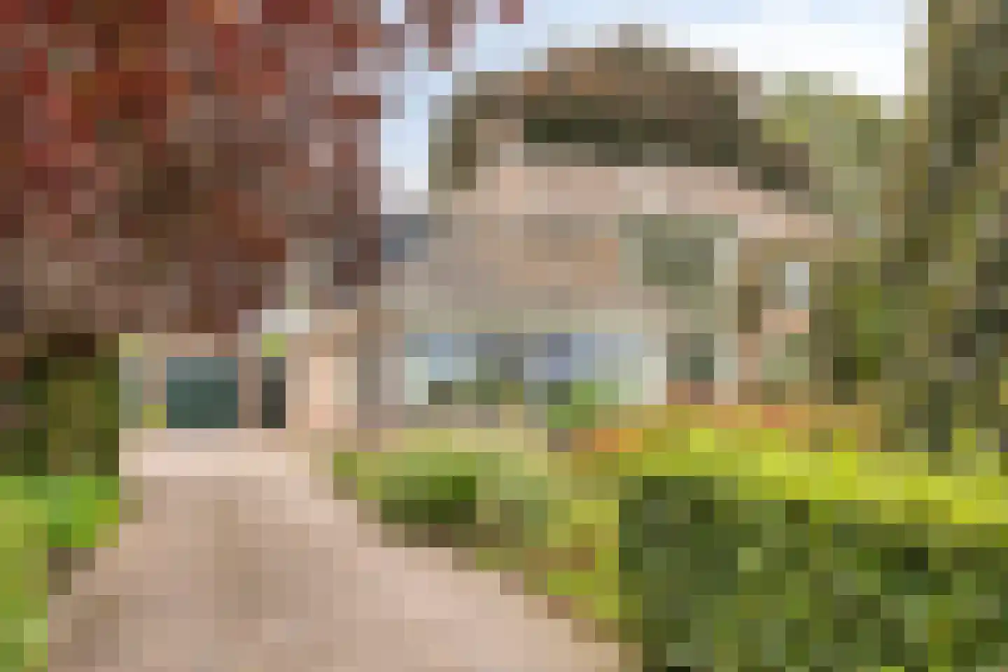 Hoofdweg 134 Westerhaar-Vriezenveensewijk thumbnail 5