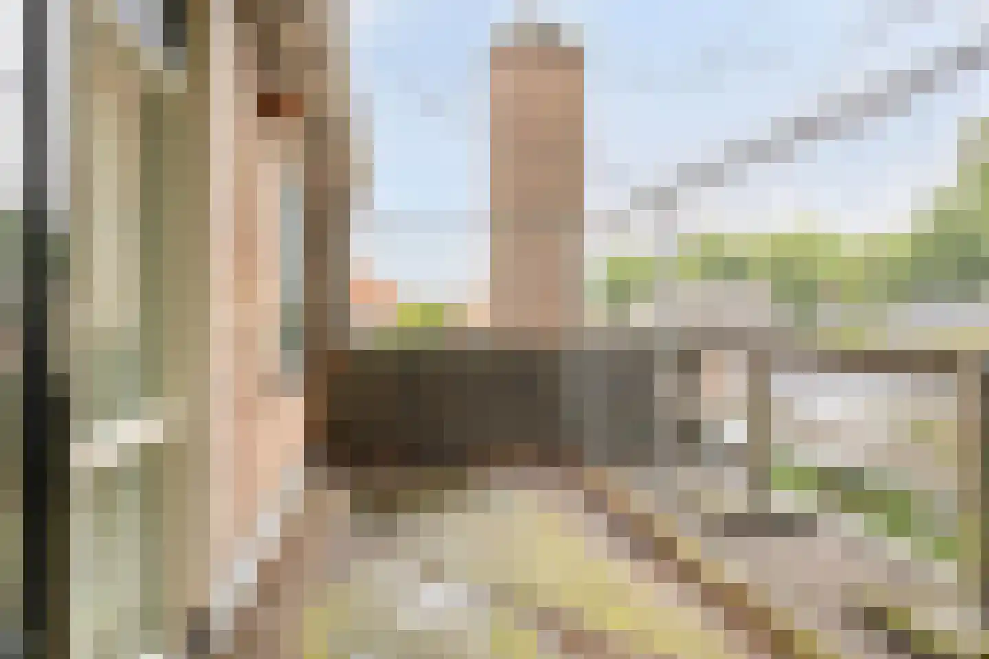 Hoofdweg 134 Westerhaar-Vriezenveensewijk thumbnail 52