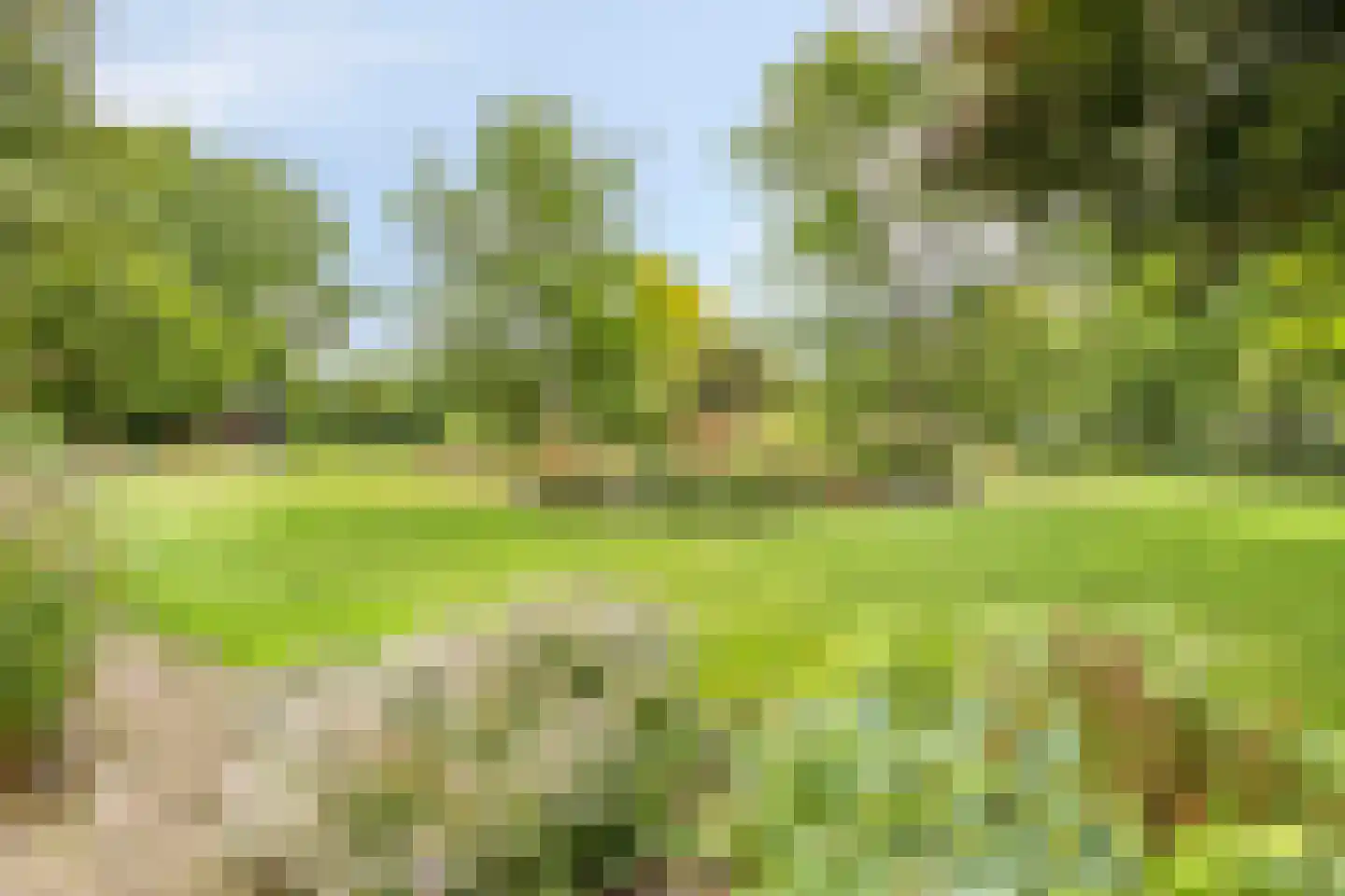 Hoofdweg 134 Westerhaar-Vriezenveensewijk thumbnail 55