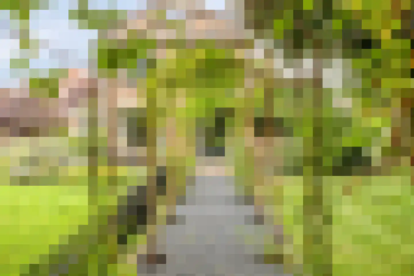 Hoofdweg 134 Westerhaar-Vriezenveensewijk thumbnail 57
