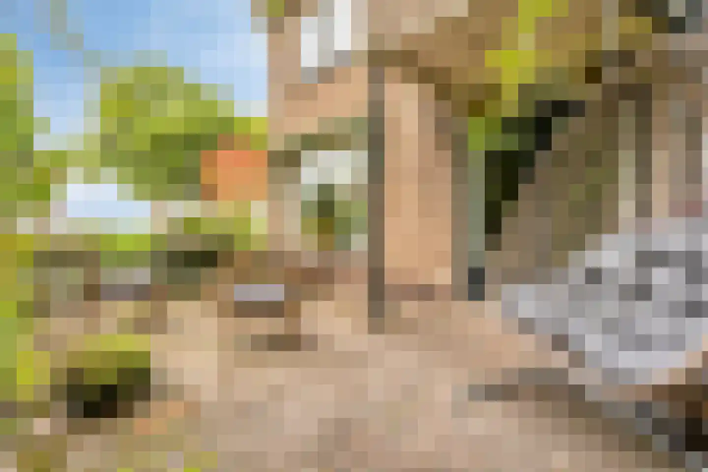 Hoofdweg 134 Westerhaar-Vriezenveensewijk thumbnail 58