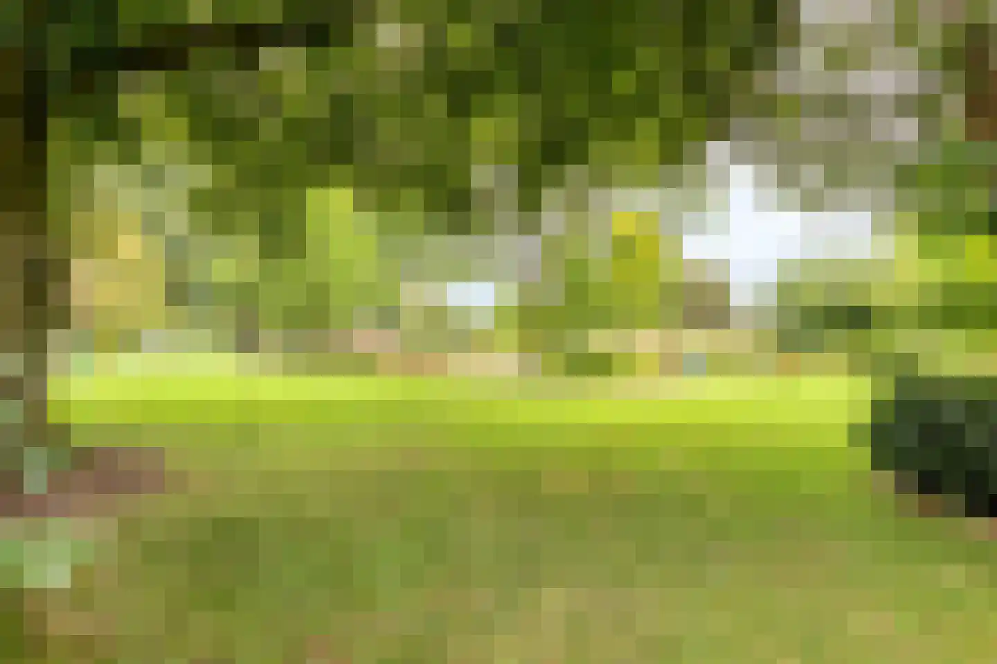 Hoofdweg 134 Westerhaar-Vriezenveensewijk thumbnail 59