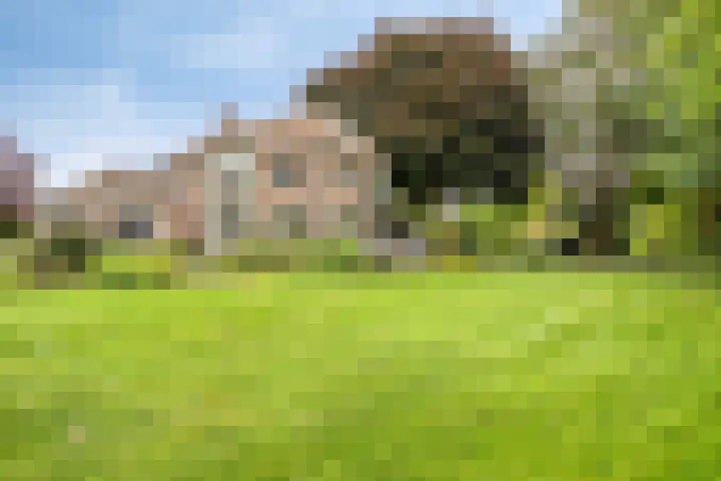 Hoofdweg 134 Westerhaar-Vriezenveensewijk thumbnail 6