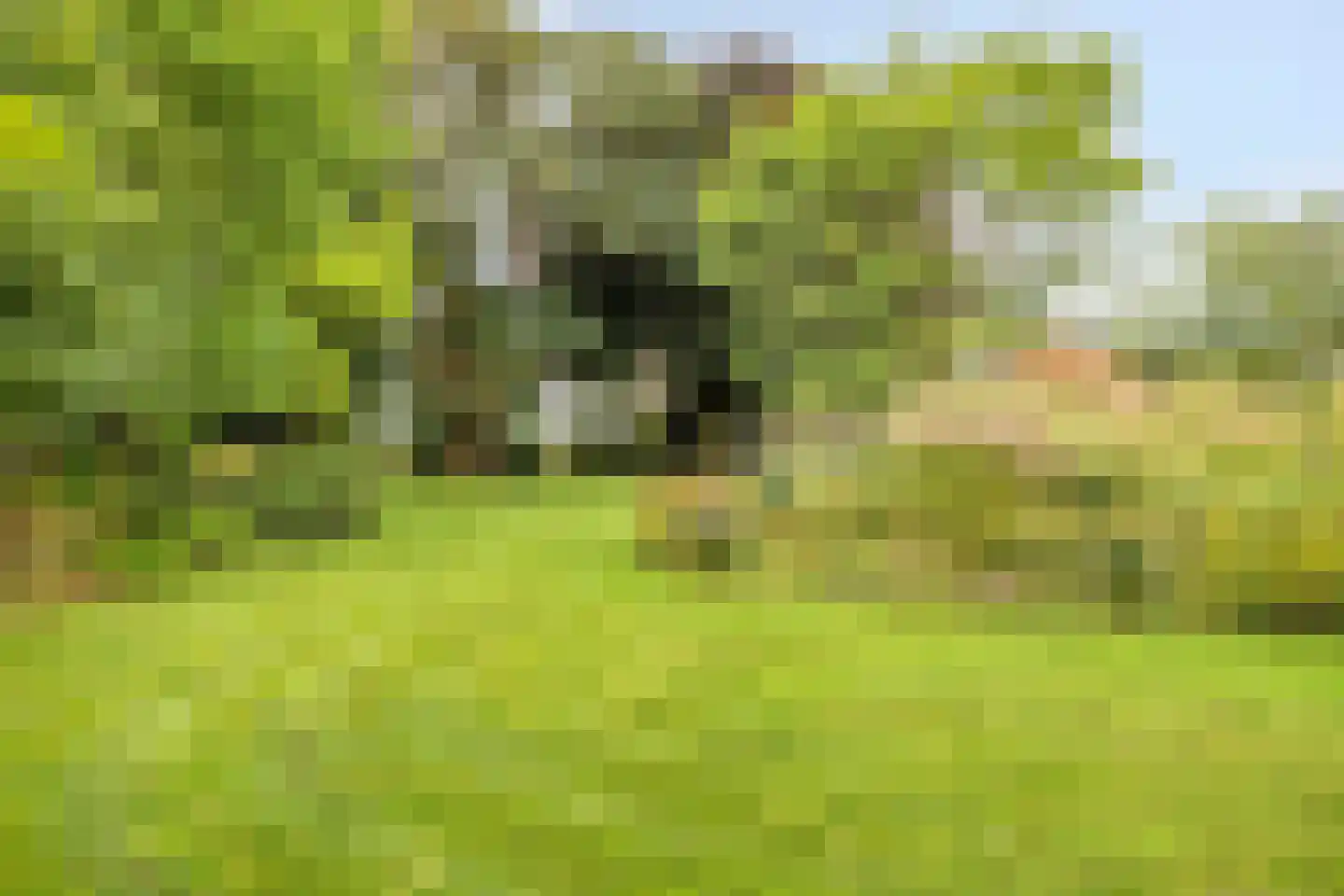 Hoofdweg 134 Westerhaar-Vriezenveensewijk thumbnail 60
