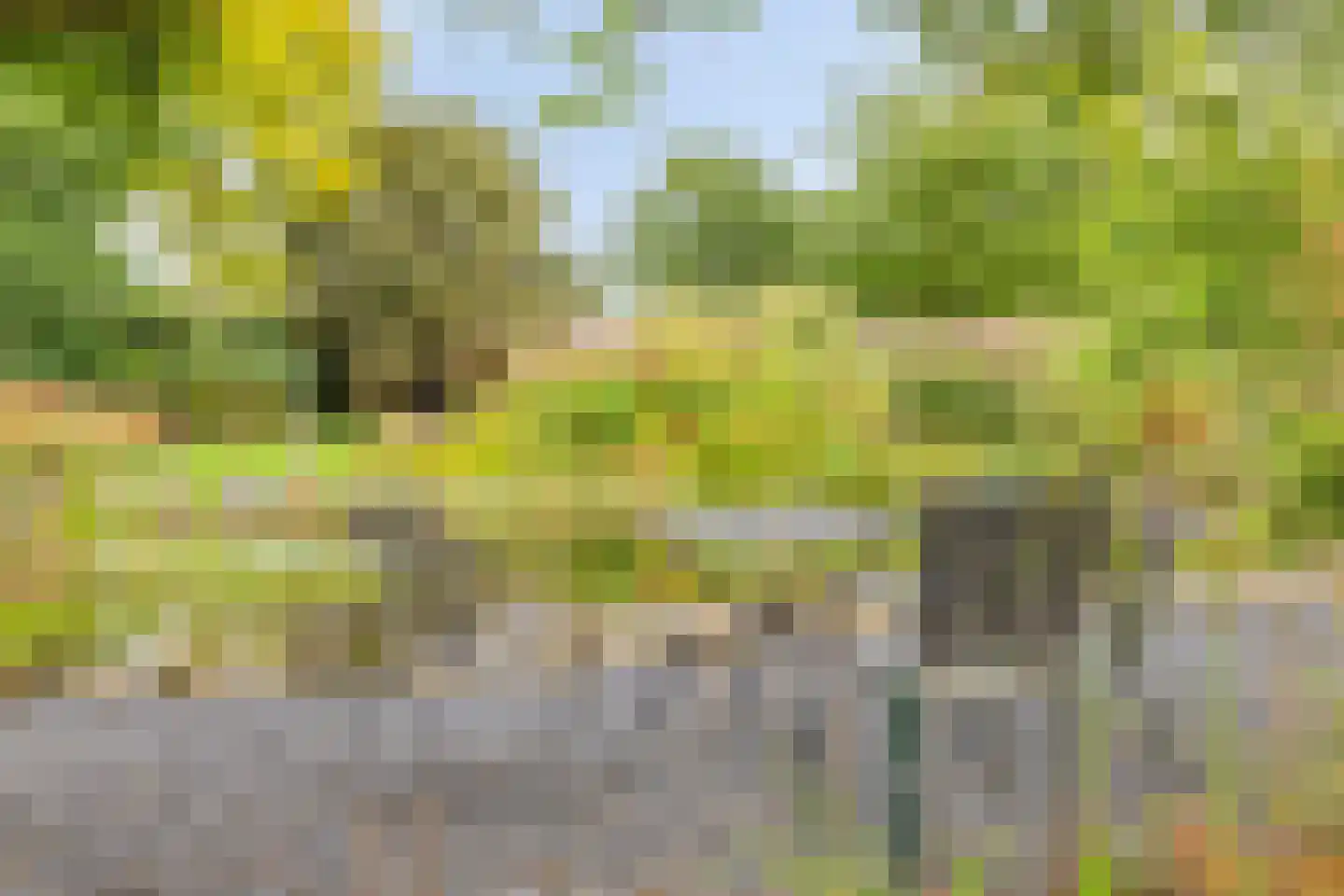 Hoofdweg 134 Westerhaar-Vriezenveensewijk thumbnail 62