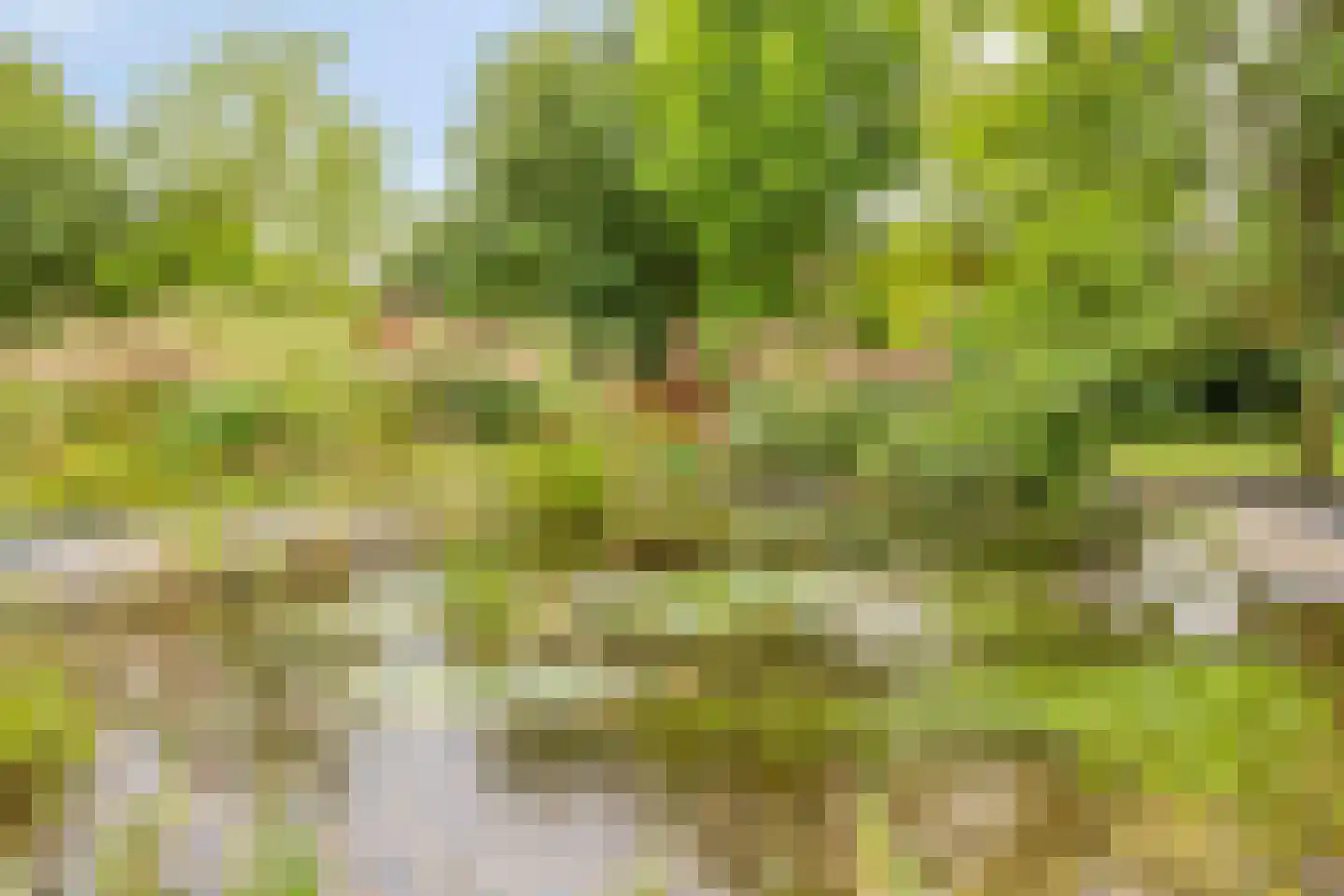 Hoofdweg 134 Westerhaar-Vriezenveensewijk thumbnail 64