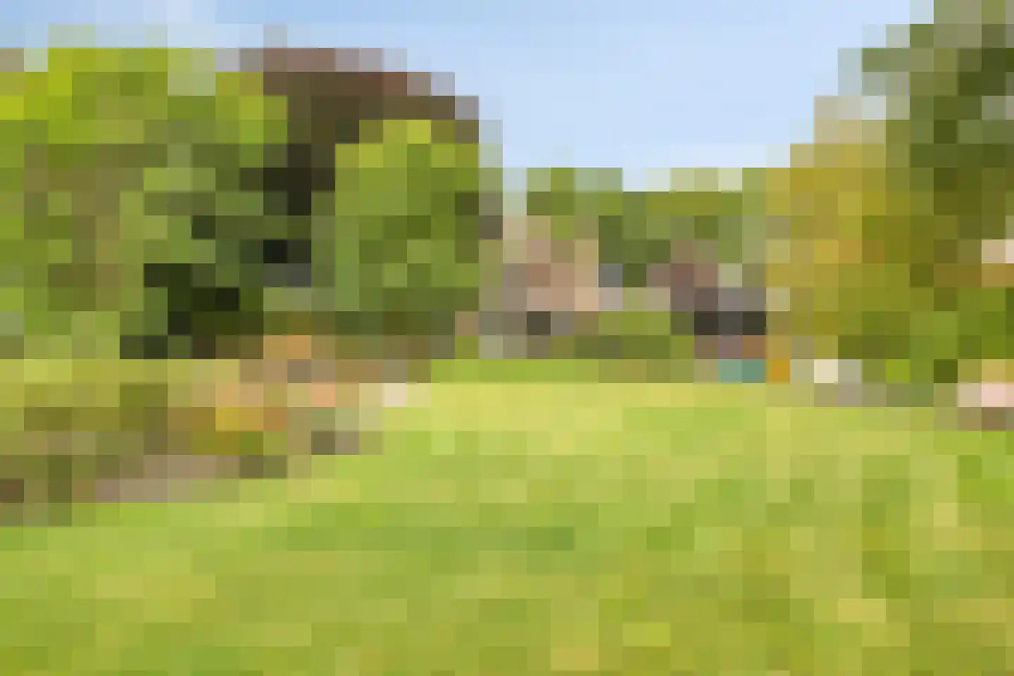 Hoofdweg 134 Westerhaar-Vriezenveensewijk thumbnail 65