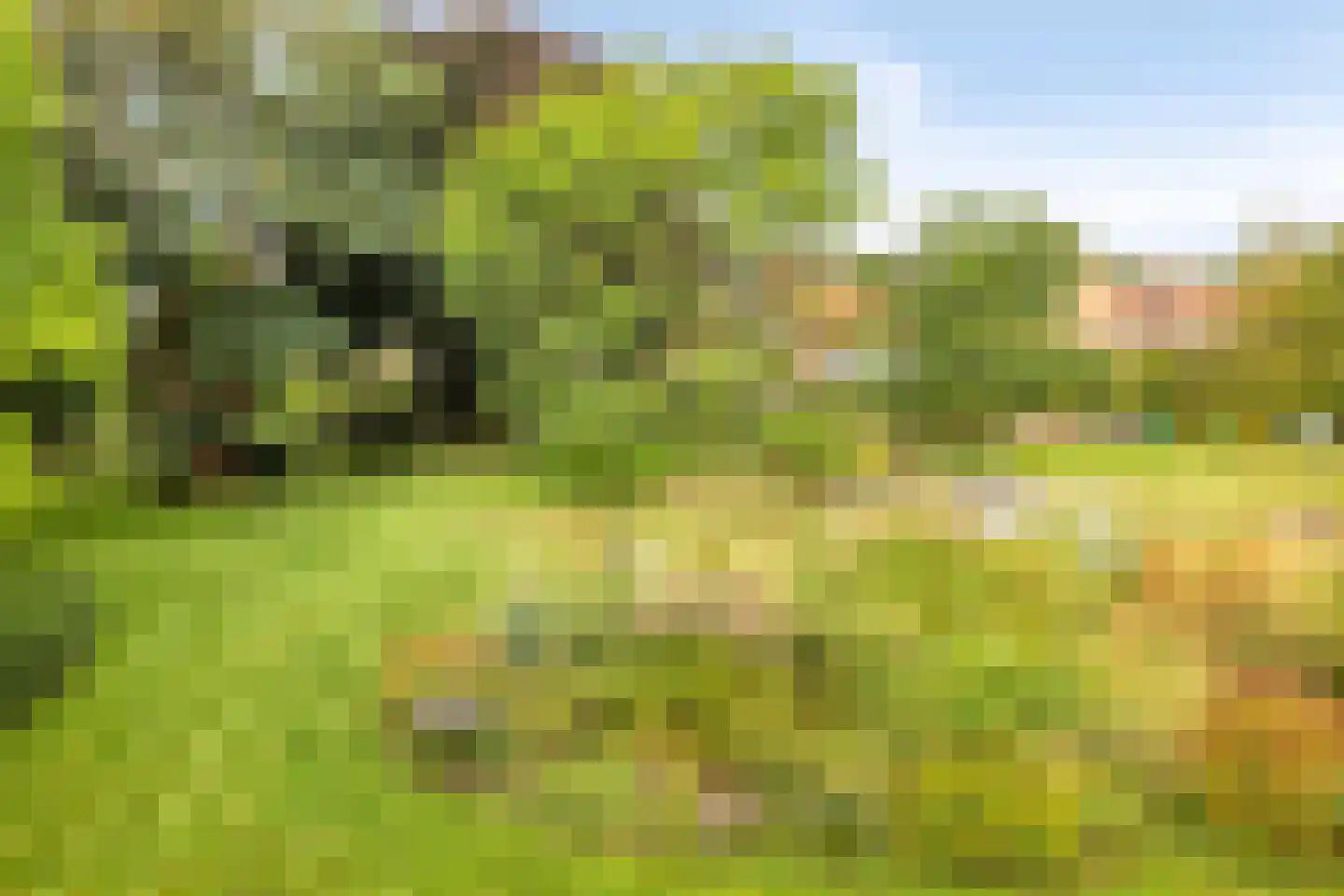 Hoofdweg 134 Westerhaar-Vriezenveensewijk thumbnail 67