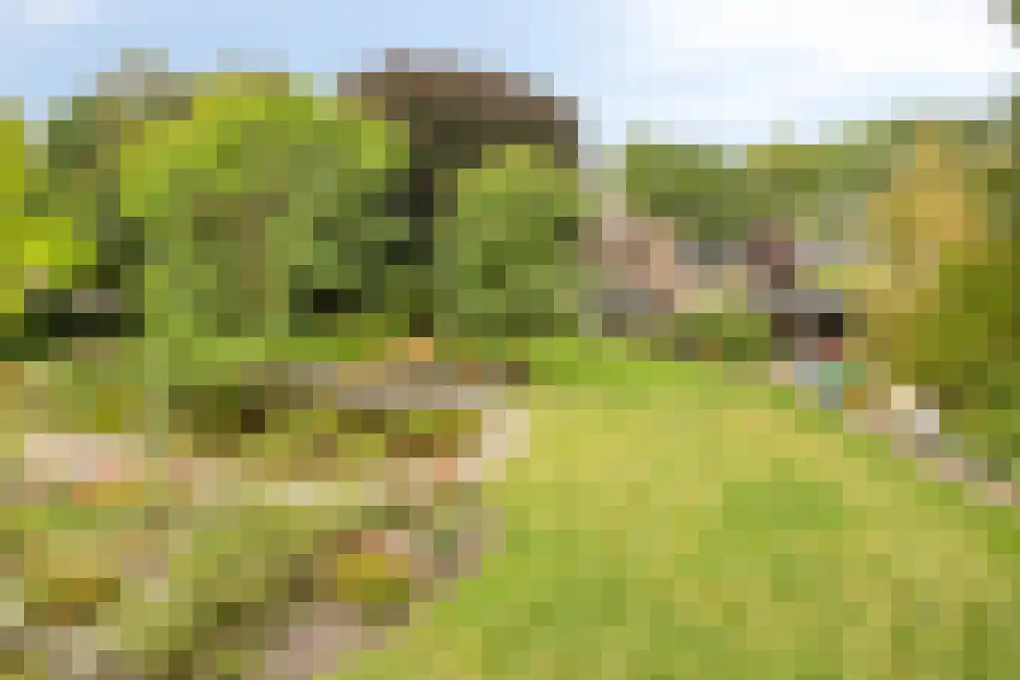 Hoofdweg 134 Westerhaar-Vriezenveensewijk thumbnail 68