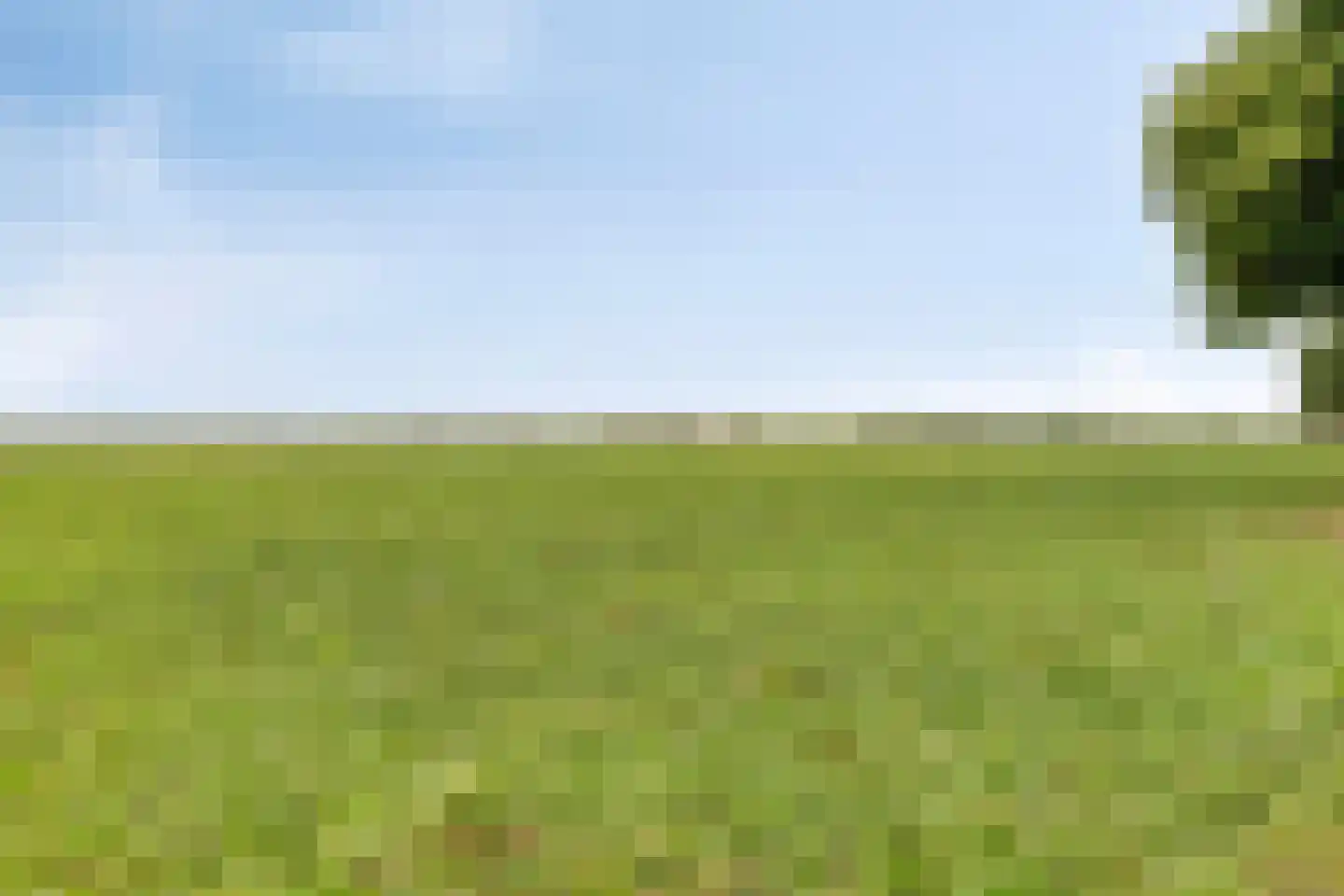 Hoofdweg 134 Westerhaar-Vriezenveensewijk thumbnail 70