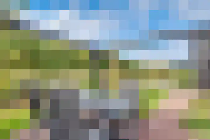 Hoofdweg 1349 Nieuw-Vennep thumbnail 15