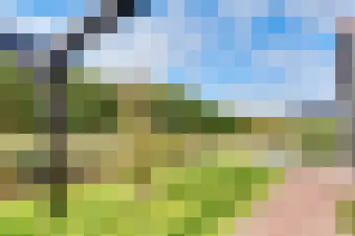 Hoofdweg 1349 Nieuw-Vennep thumbnail 16
