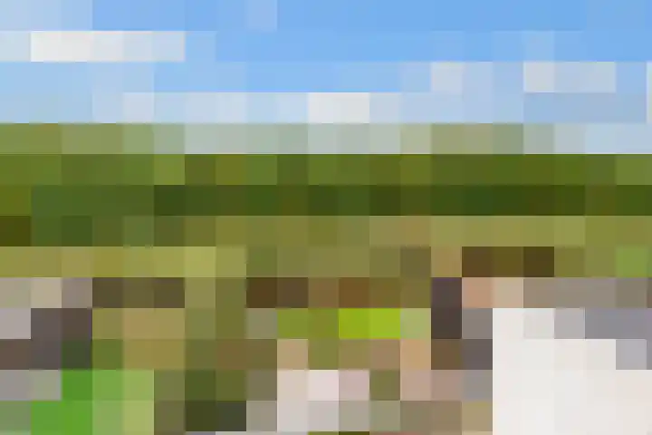 Hoofdweg 1349 Nieuw-Vennep thumbnail 53
