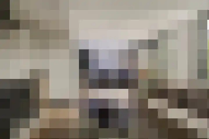 Hoofdweg 1362 Nieuw-Vennep thumbnail 19