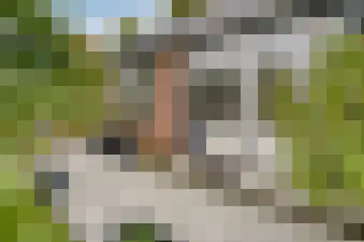 Hoofdweg 1362 Nieuw-Vennep thumbnail 22