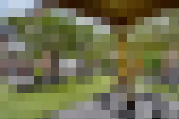 Hoofdweg 1362 Nieuw-Vennep thumbnail 28