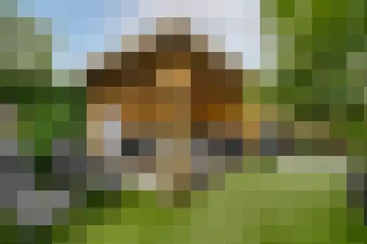 Hoofdweg 1362 Nieuw-Vennep thumbnail 29