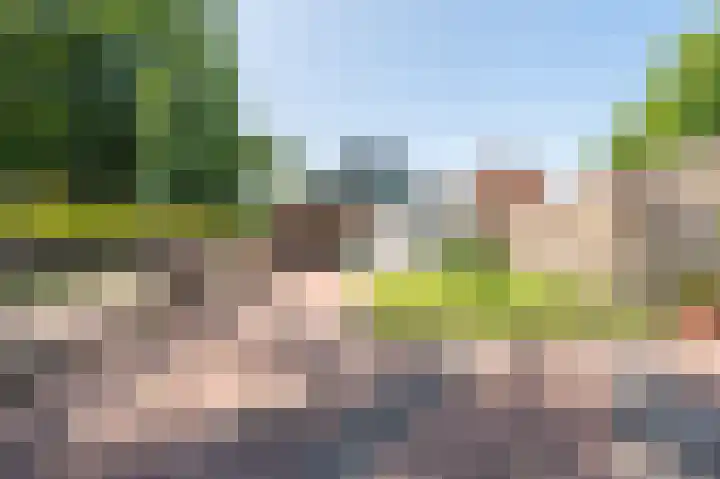 Hoofdweg 138 Bellingwolde thumbnail 11