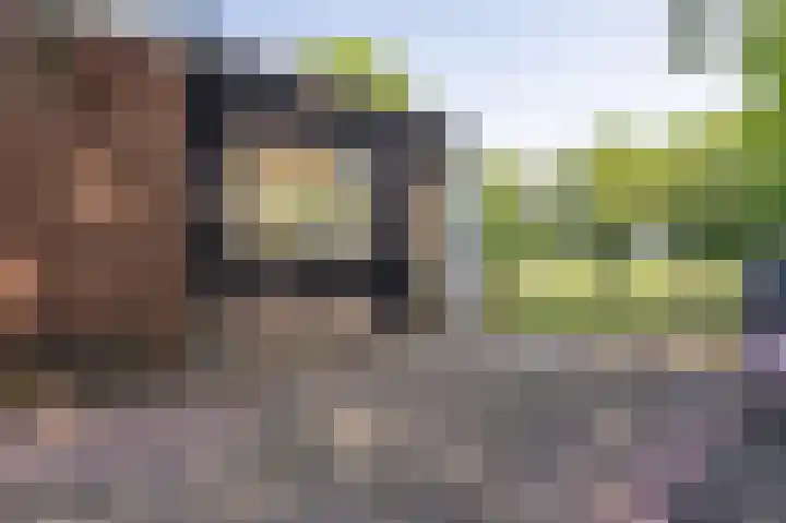 Hoofdweg 138 Bellingwolde thumbnail 13