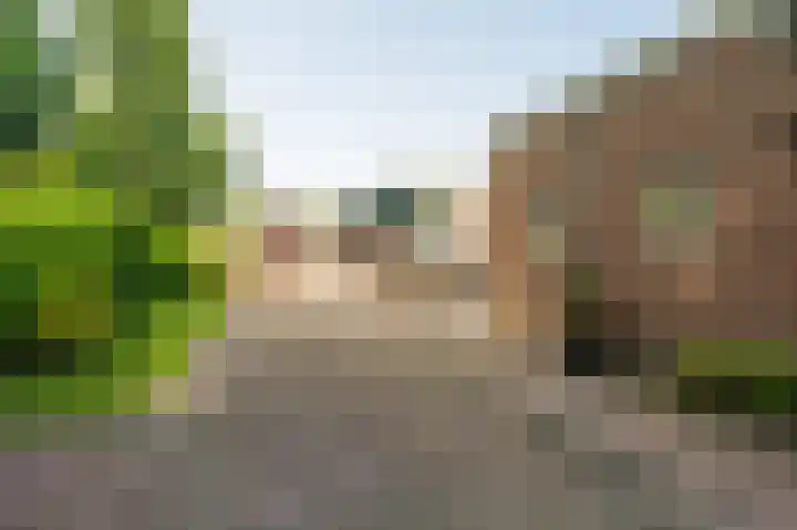 Hoofdweg 138 Bellingwolde thumbnail 17