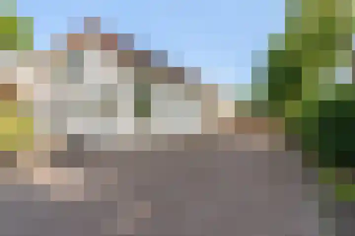 Hoofdweg 138 Bellingwolde thumbnail 18