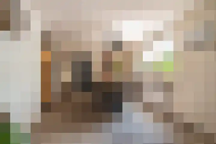 Hoofdweg 138 Bellingwolde thumbnail 30