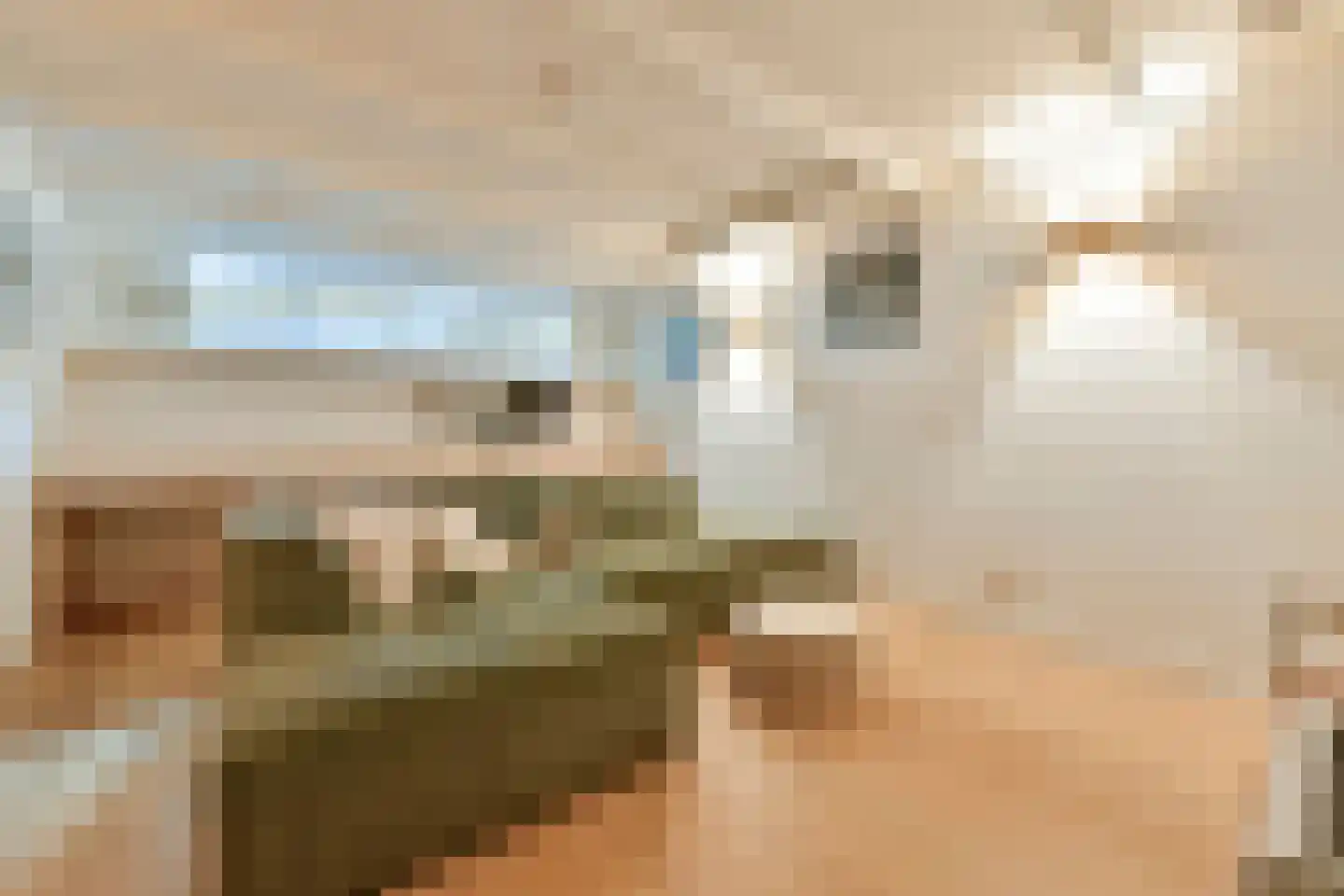 Hoofdweg 14 Amsterdam thumbnail 38