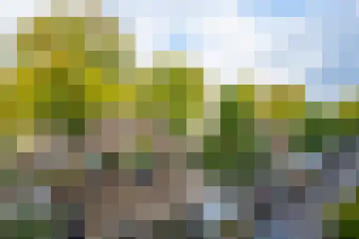 Hoofdweg 140 1 Amsterdam thumbnail 15