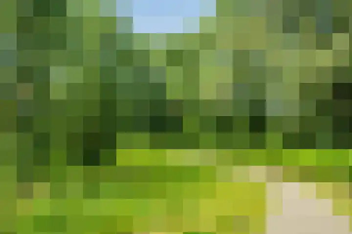 Hoofdweg 140 A Amsterdam thumbnail 23