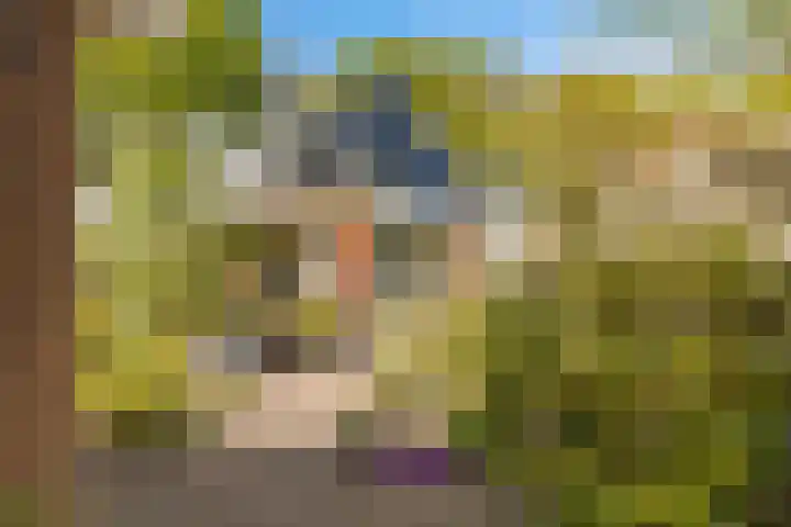 Hoofdweg 140 Froombosch thumbnail 11