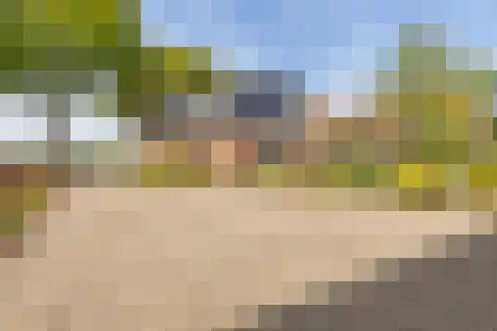 Hoofdweg 140 Froombosch thumbnail 12