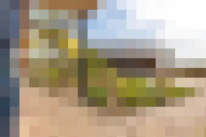 Hoofdweg 140 Froombosch thumbnail 13