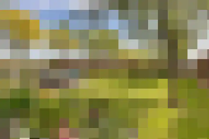 Hoofdweg 140 Froombosch thumbnail 17