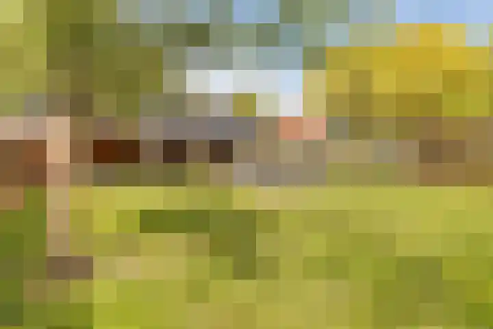 Hoofdweg 140 Froombosch thumbnail 18